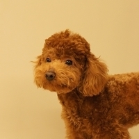 Kirby.2011.03.05-043.JPG