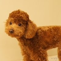 Kirby.2011.03.05-044.JPG