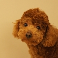 Kirby.2011.03.05-045.JPG