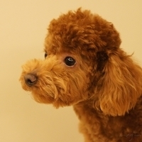 Kirby.2011.03.05-046.JPG