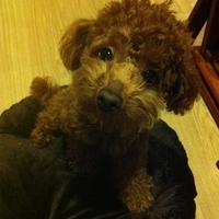Kirby.2011.03.13-001.jpg