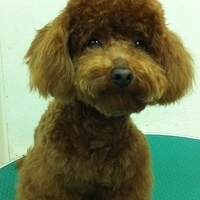Kirby.2011.03.18-001.jpg