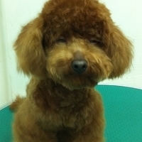 Kirby.2011.03.18-002.jpg