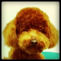 Kirby.2011.03.18-003.jpg