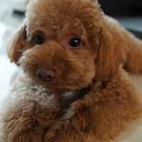 March 2012