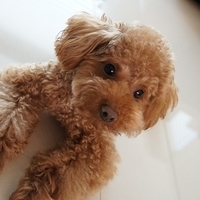 Kirby.2012.03.29-001.JPG