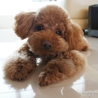 Kirby.2012.03.29-002.JPG