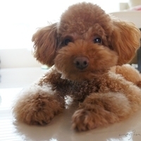 Kirby.2012.03.29-003.JPG