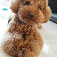 Kirby.2012.03.29-004.JPG