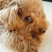 Kirby.2012.03.29-005.JPG
