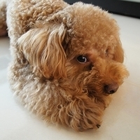 Kirby.2012.03.29-006.JPG