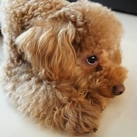 Kirby.2012.03.29-007.JPG