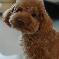 Kirby.2012.03.29-008.JPG