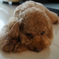 Kirby.2012.03.29-010.JPG