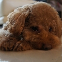 Kirby.2012.03.29-011.JPG