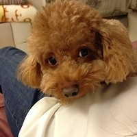 Kirby.2013.03.04-001.JPG