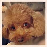 Kirby.2013.03.04-002.JPG