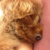 Kirby.2013.03.04-003.JPG