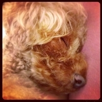 Kirby.2013.03.04-004.JPG