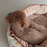 Kirby.2013.03.05-001.JPG
