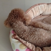 Kirby.2013.03.05-002.JPG