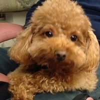 Kirby.2013.03.05-003.JPG