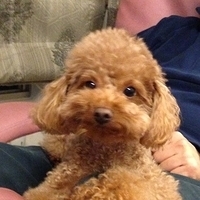 Kirby.2013.03.05-004.JPG