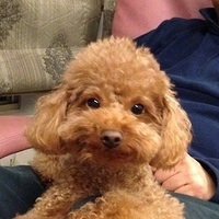 Kirby.2013.03.05-005.JPG