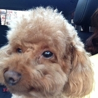Kirby.2013.03.08-001.JPG
