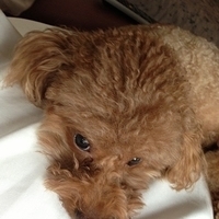Kirby.2013.03.11-001.JPG
