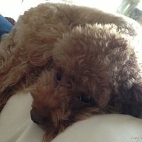 Kirby.2013.03.11-002.JPG