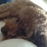Kirby.2013.03.11-003.JPG