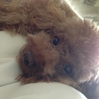 Kirby.2013.03.11-004.JPG