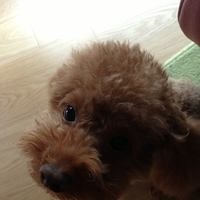 Kirby.2013.03.11-005.JPG