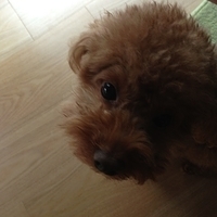 Kirby.2013.03.11-006.JPG