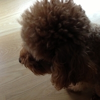 Kirby.2013.03.11-007.JPG