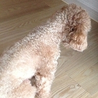 Kirby.2013.03.11-008.JPG