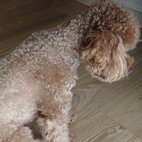 Kirby.2013.03.11-009.JPG
