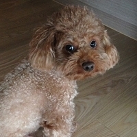 Kirby.2013.03.11-010.JPG
