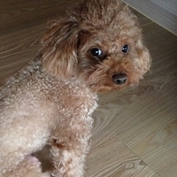 Kirby.2013.03.11-011.JPG
