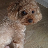 Kirby.2013.03.11-012.JPG