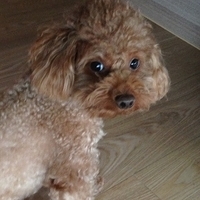 Kirby.2013.03.11-013.JPG
