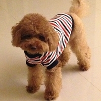 Kirby.2013.03.12-001.JPG