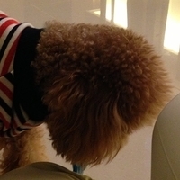 Kirby.2013.03.12-003.JPG