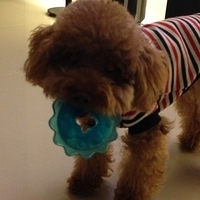 Kirby.2013.03.12-006.JPG