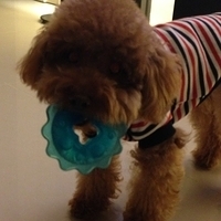 Kirby.2013.03.12-007.JPG
