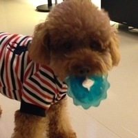 Kirby.2013.03.12-008.JPG