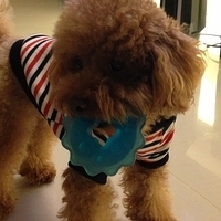 Kirby.2013.03.12-010.JPG