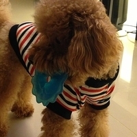Kirby.2013.03.12-011.JPG