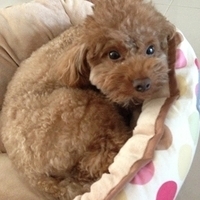 Kirby.2013.03.12-013.JPG